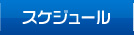 スケジュール